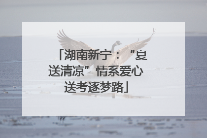 湖南新宁：“夏送清凉”情系爱心送考逐梦路