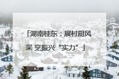 湖南桂东：展村厨风采 烹振兴“实力”