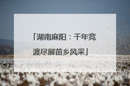 湖南麻阳：千年竞渡尽展苗乡风采