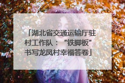 湖北省交通运输厅驻村工作队：“铁脚板”书写龙凤村幸福答卷