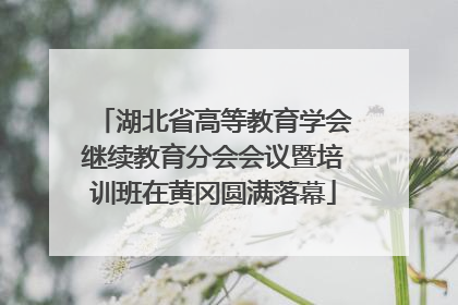 湖北省高等教育学会继续教育分会会议暨培训班在黄冈圆满落幕