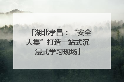 湖北孝昌：“安全大集”打造一站式沉浸式学习现场