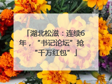湖北松滋：连续6年，“书记论坛”抢“千万红包”