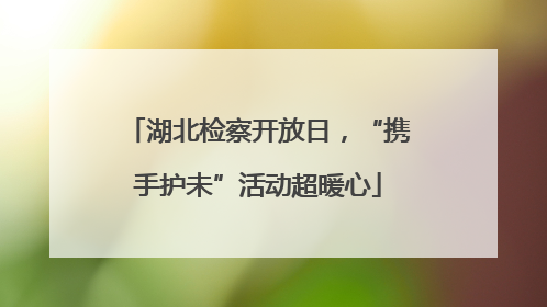 湖北检察开放日，“携手护未”活动超暖心