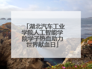 湖北汽车工业学院人工智能学院学子热血助力世界献血日