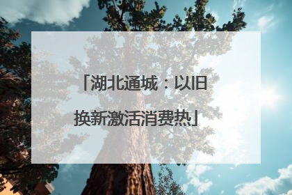 湖北通城：以旧换新激活消费热