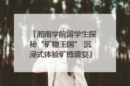 湘南学院留学生探秘“矿物王国” 沉浸式体验矿博盛宴
