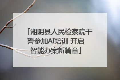 湘阴县人民检察院干警参加AI培训 开启智能办案新篇章