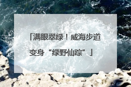 满眼翠绿！威海步道变身“绿野仙踪”