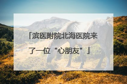 滨医附院北海医院来了一位“心朋友”