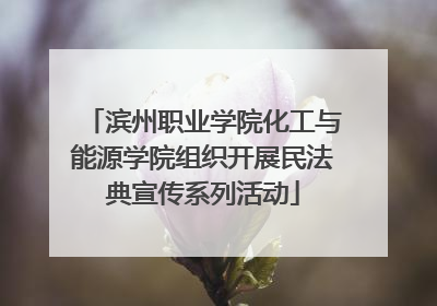 滨州职业学院化工与能源学院组织开展民法典宣传系列活动