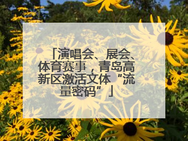 演唱会、展会、体育赛事，青岛高新区激活文体“流量密码”