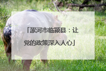 漯河市临颍县：让党的政策深入人心