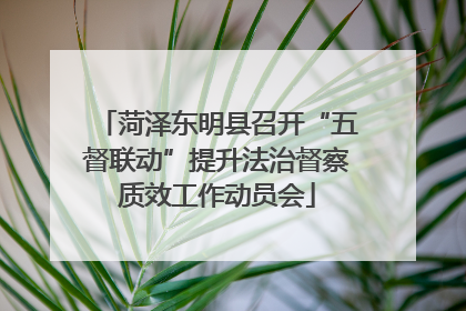 菏泽东明县召开“五督联动”提升法治督察质效工作动员会