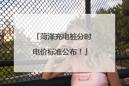 菏泽充电桩分时电价标准公布！