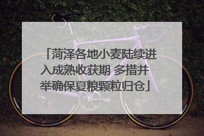 菏泽各地小麦陆续进入成熟收获期 多措并举确保夏粮颗粒归仓