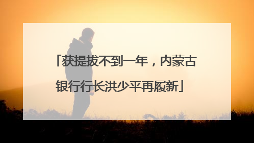 获提拔不到一年，内蒙古银行行长洪少平再履新