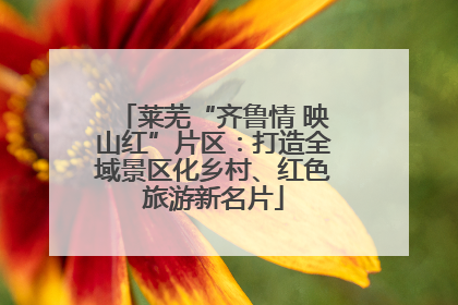 莱芜“齐鲁情 映山红”片区：打造全域景区化乡村、红色旅游新名片