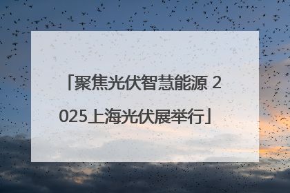 聚焦光伏智慧能源 2025上海光伏展举行