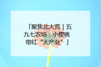 聚焦北大荒｜五九七农场：小樱桃带红“大产业”