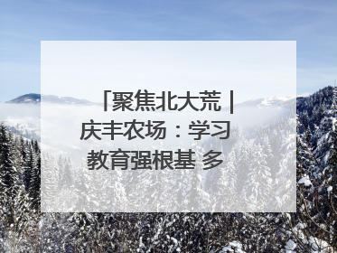 聚焦北大荒｜庆丰农场：学习教育强根基 多管齐下助发展