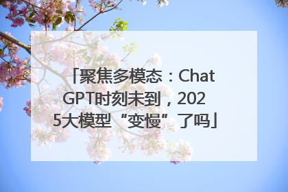 聚焦多模态：ChatGPT时刻未到，2025大模型“变慢”了吗
