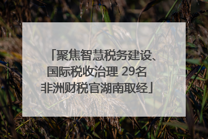 聚焦智慧税务建设、国际税收治理 29名非洲财税官湖南取经