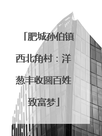 肥城孙伯镇西北角村：洋葱丰收圆百姓致富梦