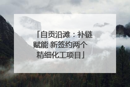 自贡沿滩：补链赋能 新签约两个精细化工项目