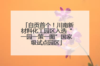 自贡首个！川南新材料化工园区入选“一园一策一图”国家级试点园区