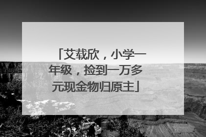 艾载欣，小学一年级，捡到一万多元现金物归原主