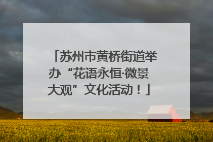 苏州市黄桥街道举办“花语永恒·微景大观”文化活动！