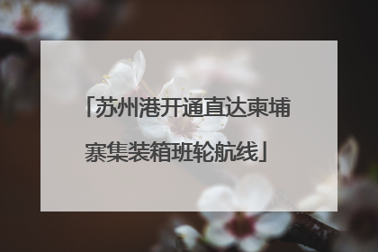 苏州港开通直达柬埔寨集装箱班轮航线