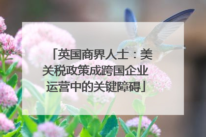 英国商界人士：美关税政策成跨国企业运营中的关键障碍
