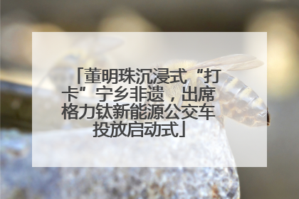 董明珠沉浸式“打卡”宁乡非遗，出席格力钛新能源公交车投放启动式