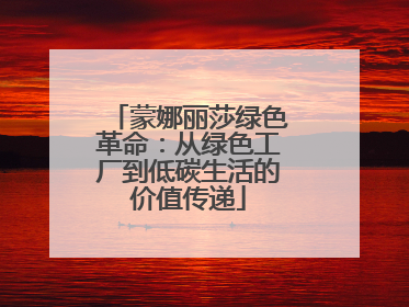 蒙娜丽莎绿色革命：从绿色工厂到低碳生活的价值传递