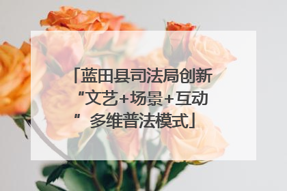 蓝田县司法局创新“文艺+场景+互动”多维普法模式
