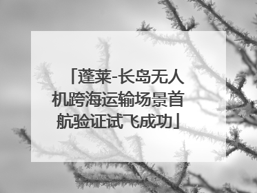 蓬莱-长岛无人机跨海运输场景首航验证试飞成功