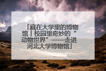 藏在大学里的博物馆丨校园里奇妙的“动物世界”——走进河北大学博物馆