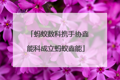蚂蚁数科携手协鑫能科成立蚂蚁鑫能