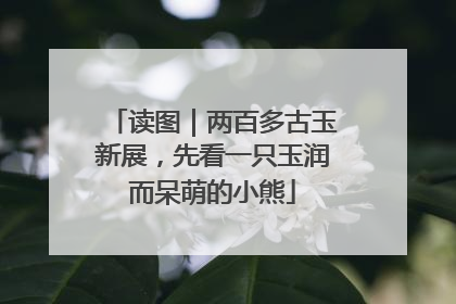 读图｜两百多古玉新展，先看一只玉润而呆萌的小熊