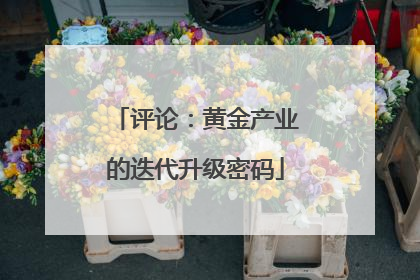 评论：黄金产业的迭代升级密码