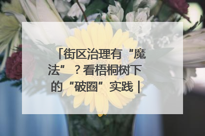 街区治理有“魔法”？看梧桐树下的“破圈”实践｜我在街区当书记