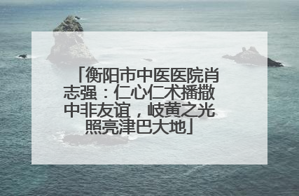 衡阳市中医医院肖志强：仁心仁术播撒中非友谊，岐黄之光照亮津巴大地