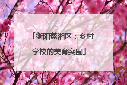 衡阳蒸湘区：乡村学校的美育突围