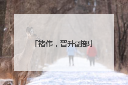 褚伟，晋升副部