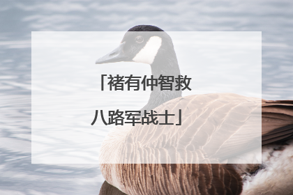 褚有仲智救八路军战士