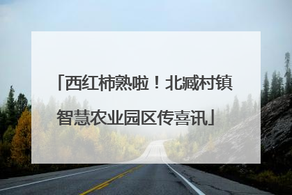 西红柿熟啦！北臧村镇智慧农业园区传喜讯