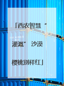西农智慧“灌溉” 沙漠樱桃别样红