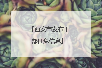 西安市发布干部任免信息